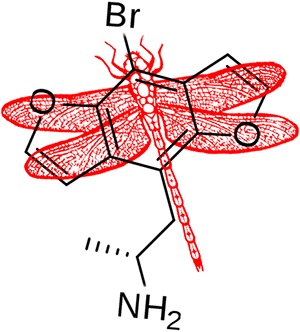 Bromo-Dragonfly is one of the most dangerous legal highs